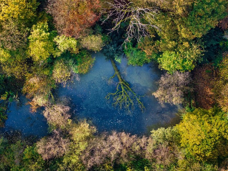 Vlak bij Nijmegen ligt dit verstopt tussen de bomen
